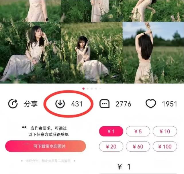 20250426145617-680cf4113c911.jpg 最新图虫搬运项目,收益无上限,利用AI小白也可日赚500+