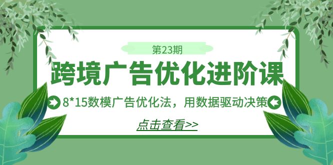 跨境广告·优化进阶课·第23期，8*15数模广告优化法，用数据驱动决策网赚项目-副业赚钱-互联网创业-独家轻创IP星泽云创