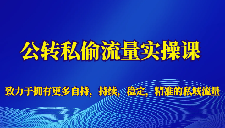 公转私偷流量实操课，致力于拥有更多自持，持续，稳定，精准的私域流量网赚项目-副业赚钱-互联网创业-独家轻创IP星泽云创