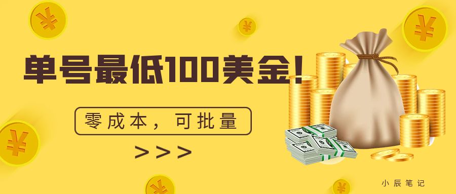 单号最低100美金，零成本，小白无脑操作。可复制，可扩大。网赚项目-副业赚钱-互联网创业-独家轻创IP星泽云创