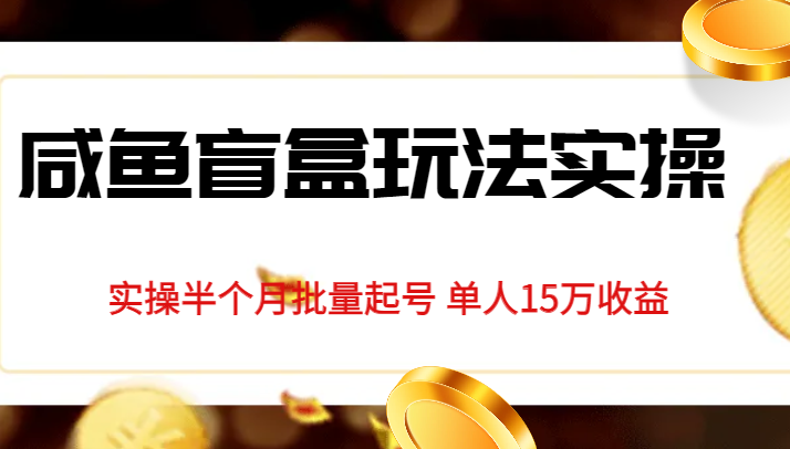 独家首发咸鱼盲盒玩法实操，半个月批量起号单人15万收益揭秘网赚项目-副业赚钱-互联网创业-独家轻创IP星泽云创