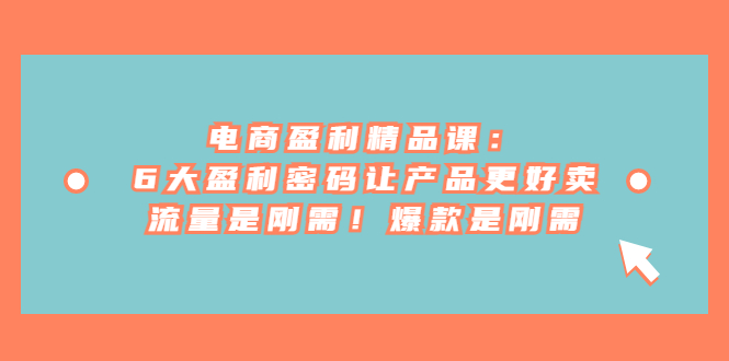 电商盈利精品课：6大盈利 密码让产品更好卖，流量是刚需！爆款是刚需网赚项目-副业赚钱-互联网创业-独家轻创IP星泽云创