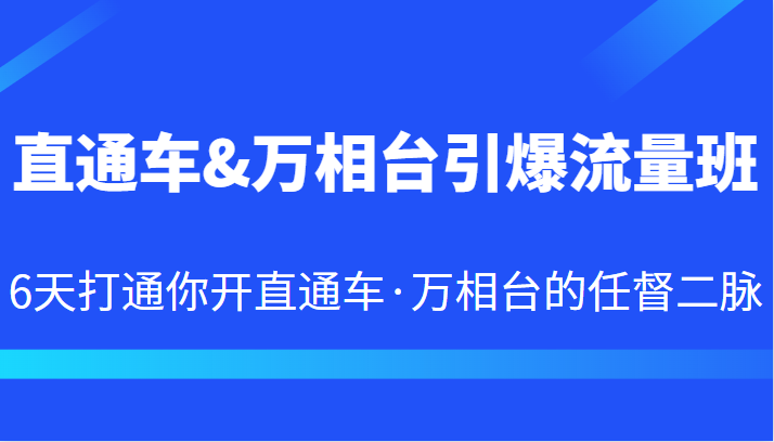 直通车&万相台引爆流量班 6天打通你开直通车·万相台的任督二脉网赚项目-副业赚钱-互联网创业-独家轻创IP星泽云创