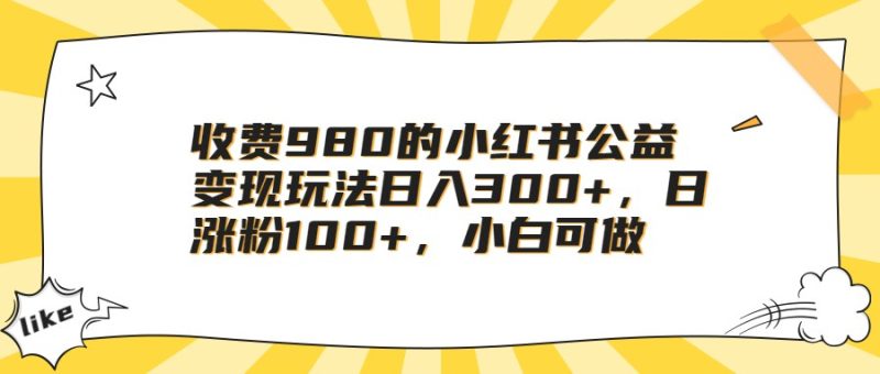 收费980的小红书公益变现玩法日入300+，日涨粉100+，小白可做网赚项目-副业赚钱-互联网创业-独家轻创IP星泽云创
