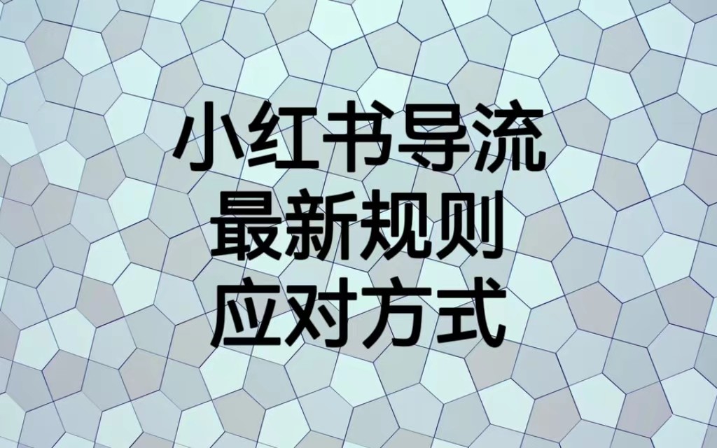 小红书导流最新规则应对方式，新规以后目前还可用的引流方式解读网赚项目-副业赚钱-互联网创业-独家轻创IP星泽云创