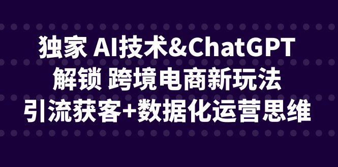 独家 AI技术&ChatGPT解锁 跨境电商新玩法，引流获客+数据化运营思维网赚项目-副业赚钱-互联网创业-独家轻创IP星泽云创