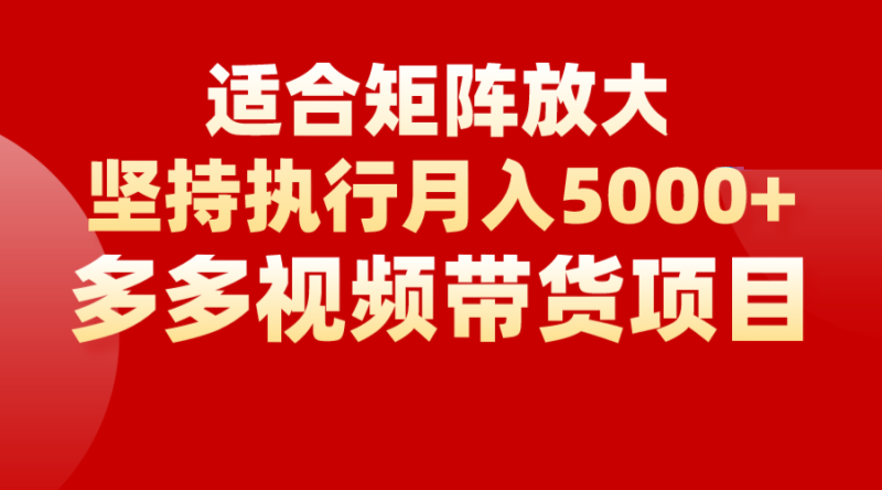 矩阵操作月入5000+,多多视频带货项目,适合新手,也适合老手放大网赚项目-副业赚钱-互联网创业-独家轻创IP星泽云创