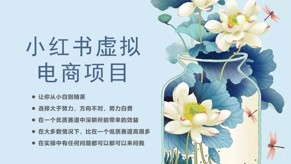 小红书虚拟电商从0到1小白到精英（20节实操课程）网赚项目-副业赚钱-互联网创业-独家轻创IP星泽云创