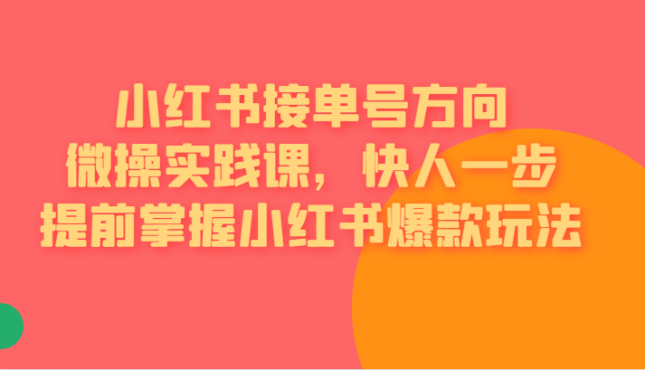 红书接单号方向微操实践课，快人一步提前掌握小红书爆款玩法网赚项目-副业赚钱-互联网创业-独家轻创IP星泽云创