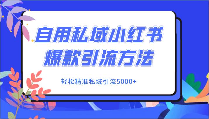 自用私域小红书爆款引流方法，轻松精准私域引流5000+网赚项目-副业赚钱-互联网创业-独家轻创IP星泽云创