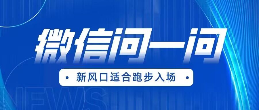 全网首发微信问一问新风口变现项目（价值1999元）网赚项目-副业赚钱-互联网创业-独家轻创IP星泽云创