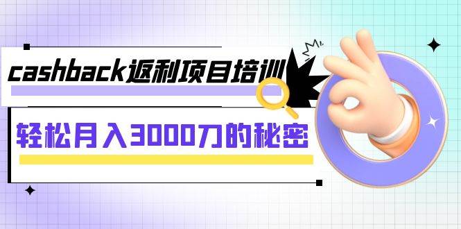 cashback返利项目培训：轻松月入3000刀的秘密（8节课）网赚项目-副业赚钱-互联网创业-独家轻创IP星泽云创