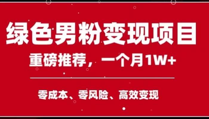 手机操作，月入1W以上副业领袖绿色男粉高客单价项目网赚项目-副业赚钱-互联网创业-独家轻创IP星泽云创