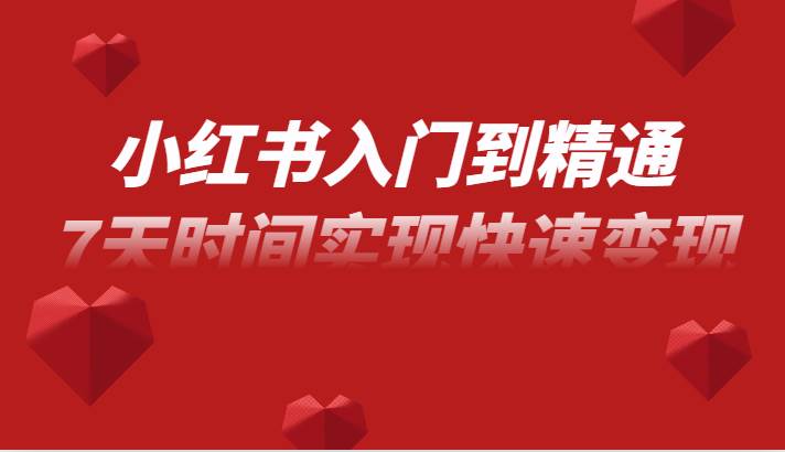 小红书入门到精通课，无货源电商实操运营，7天时间实现快速变现网赚项目-副业赚钱-互联网创业-独家轻创IP星泽云创