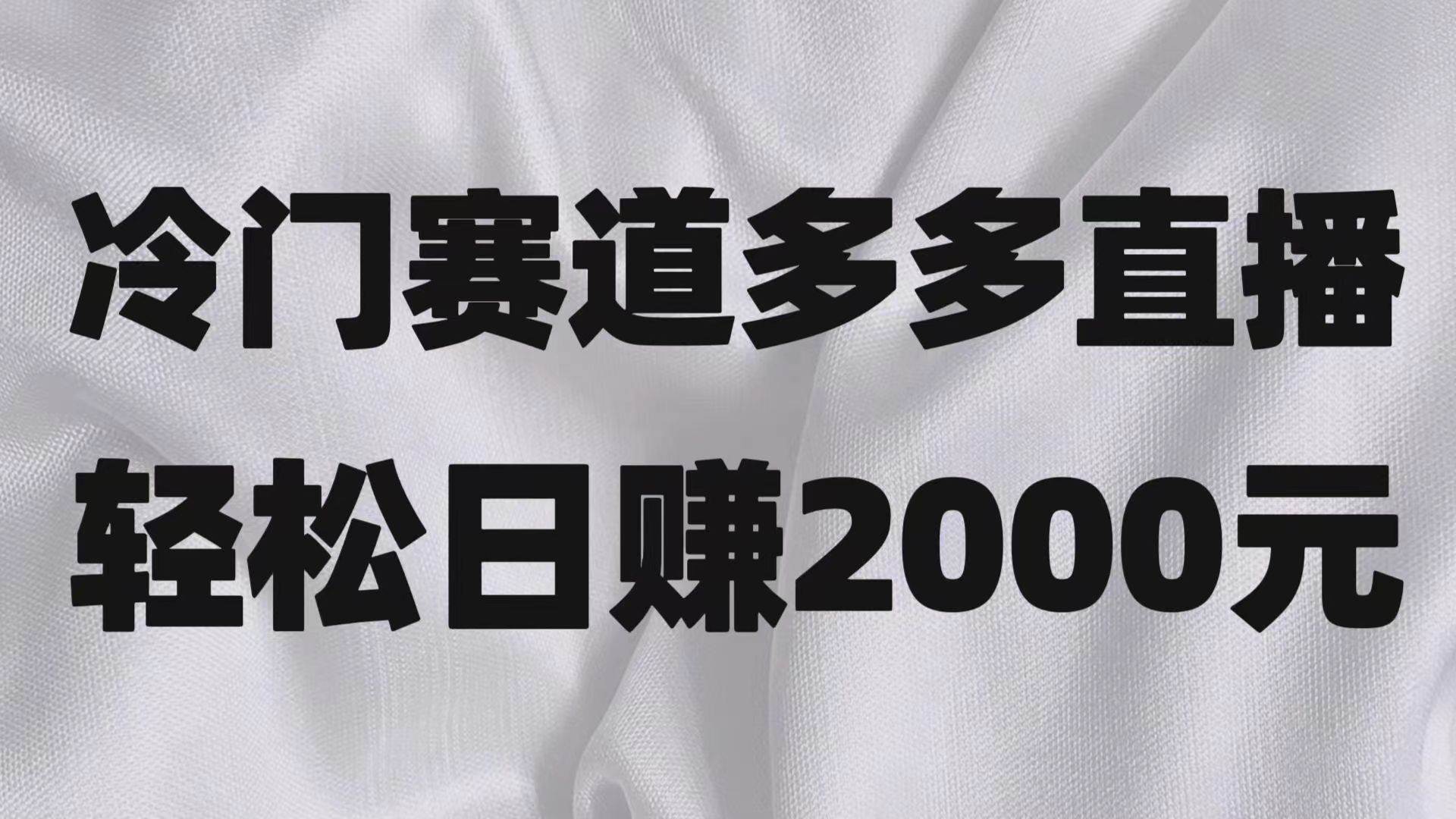 冷门赛道拼多多直播项目，简单念稿子，日收益2000＋网赚项目-副业赚钱-互联网创业-独家轻创IP星泽云创