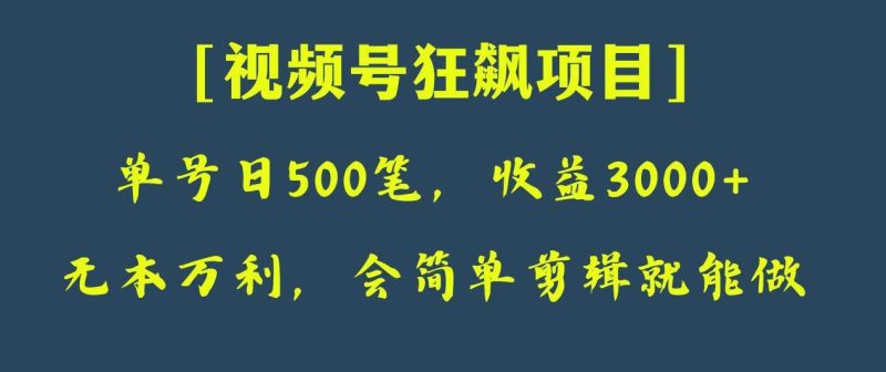 日收款500笔，纯利润3000+，视频号狂飙项目！网赚项目-副业赚钱-互联网创业-独家轻创IP星泽云创