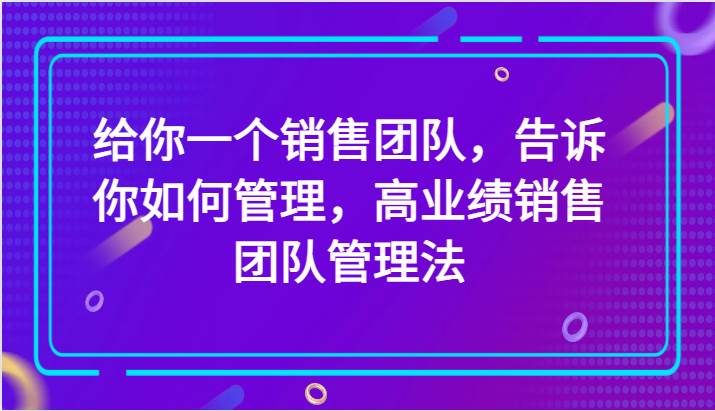 给你一个销售团队，告诉你如何管理，高业绩销售团队管理法（89节课）网赚项目-副业赚钱-互联网创业-独家轻创IP星泽云创