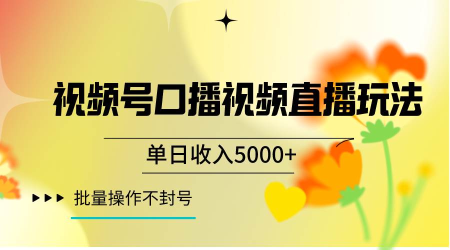 视频号口播视频直播玩法单日收入5000+，一种可以单号持续操作的玩法网赚项目-副业赚钱-互联网创业-独家轻创IP星泽云创