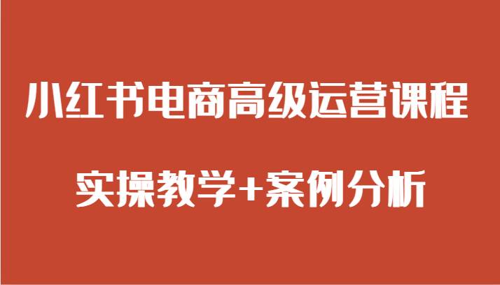 小红书电商高级运营课程 实操教学+案例分析网赚项目-副业赚钱-互联网创业-独家轻创IP星泽云创