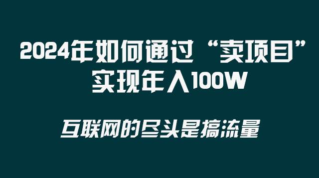 2024年如何通过“卖项目”实现年入100W网赚项目-副业赚钱-互联网创业-独家轻创IP星泽云创