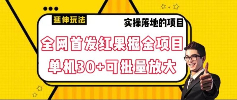 全网首发红果掘金项目，简单操作单机30＋可批量放大网赚项目-副业赚钱-互联网创业-独家轻创IP星泽云创