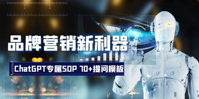 品牌营销新利器：ChatGPT专属SOP，70+提问模板网赚项目-副业赚钱-互联网创业-独家轻创IP星泽云创