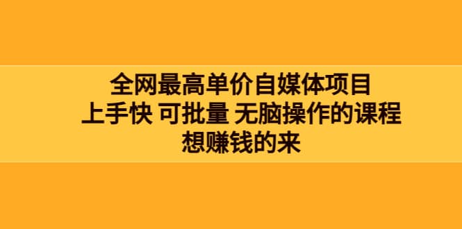 全网最单高价自媒体项目：上手快 可批量 无脑操作的课程，想赚钱的来网赚项目-副业赚钱-互联网创业-独家轻创IP星泽云创