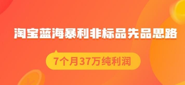 盗坤淘宝蓝海暴利非标品先品思路，7个月37万纯利润，压箱干货分享！【付费文章】网赚项目-副业赚钱-互联网创业-独家轻创IP星泽云创