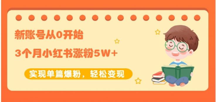新账号从0开始3个月小红书涨粉5W+实现单篇爆粉，轻松变现（干货）网赚项目-副业赚钱-互联网创业-独家轻创IP星泽云创