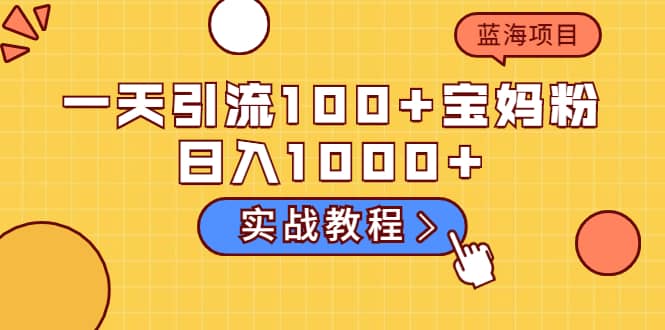 一天引流100+宝妈粉，日入1000+的蓝海项目（实战教程）网赚项目-副业赚钱-互联网创业-独家轻创IP星泽云创