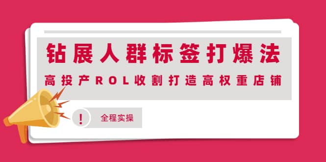 钻展人群标签打爆法，高投产ROL收割打造高权重店铺(全程实操)网赚项目-副业赚钱-互联网创业-独家轻创IP星泽云创