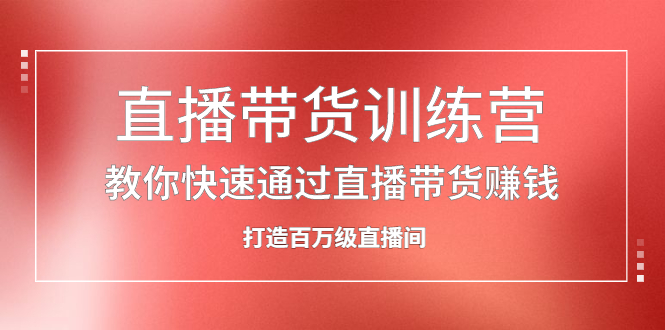 直播带货训练营，教你快速通过直播带货赚钱，打造百万级直播间网赚项目-副业赚钱-互联网创业-独家轻创IP星泽云创