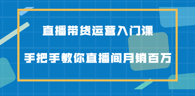 直播带货运营入门课，手把手教你直播间月销百万网赚项目-副业赚钱-互联网创业-独家轻创IP星泽云创