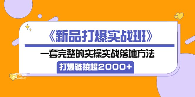 《新品打爆实战班》一套完整的实操实战落地方法，打爆链接超2000+（38节课)网赚项目-副业赚钱-互联网创业-独家轻创IP星泽云创
