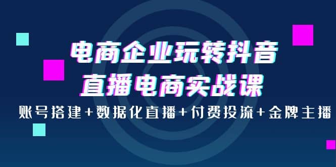 电商企业玩转抖音直播电商实战课：账号搭建+数据化直播+付费投流+金牌主播网赚项目-副业赚钱-互联网创业-独家轻创IP星泽云创