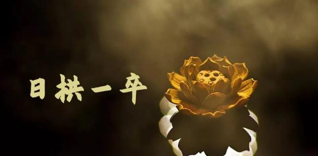 无脑搬砖，普通人可以复制的副业赚钱项目(附软件)网赚项目-副业赚钱-互联网创业-独家轻创IP星泽云创