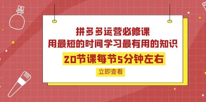 拼多多运营必修课：20节课每节5分钟左右，用最短的时间学习最有用的知识网赚项目-副业赚钱-互联网创业-独家轻创IP星泽云创