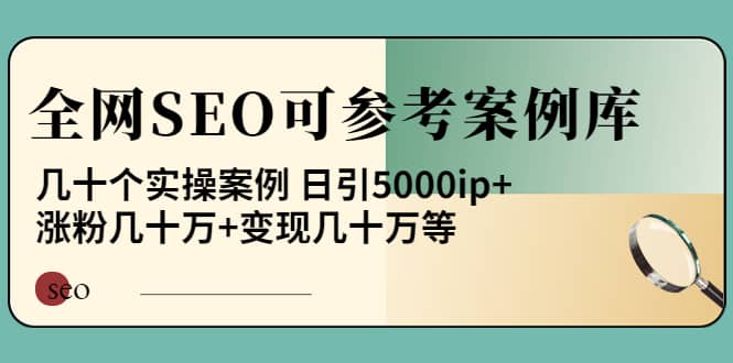 《全网SEO可参考案例库》几十个实操案例网赚项目-副业赚钱-互联网创业-独家轻创IP星泽云创
