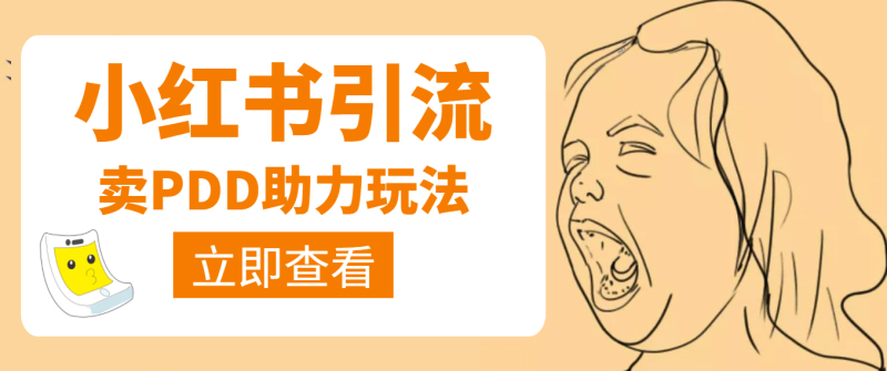 利用小红书卖拼多多助力网赚项目-副业赚钱-互联网创业-独家轻创IP星泽云创