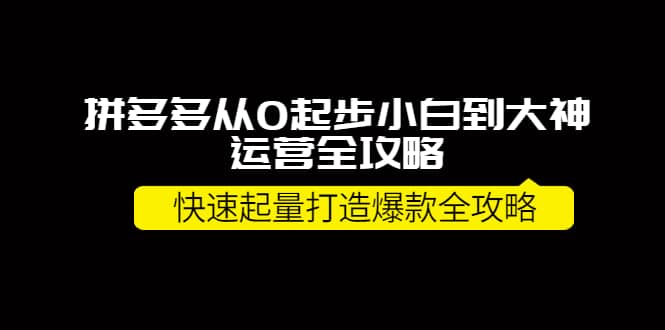 拼多多从0起步小白到大神运营全攻略网赚项目-副业赚钱-互联网创业-独家轻创IP星泽云创