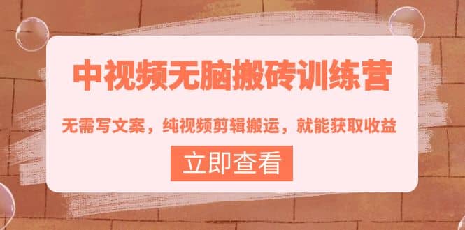 中视频无脑搬砖训练营：无需写文案，纯视频剪辑搬运，就能获取收益网赚项目-副业赚钱-互联网创业-独家轻创IP星泽云创