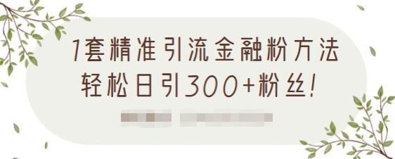 1套精准引流金融粉方法，轻松日引300+粉丝【视频课程】网赚项目-副业赚钱-互联网创业-独家轻创IP星泽云创