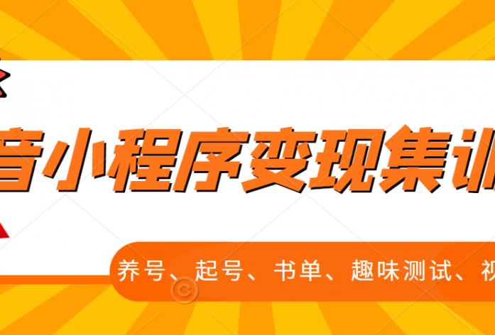 抖音小程序变现集训课，养号、起号、书单、趣味测试、视频剪辑，全套流程网赚项目-副业赚钱-互联网创业-独家轻创IP星泽云创