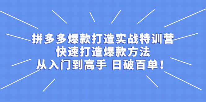 拼多多爆款打造实战特训营：快速打造爆款方法，从入门到高手 日破百单网赚项目-副业赚钱-互联网创业-独家轻创IP星泽云创