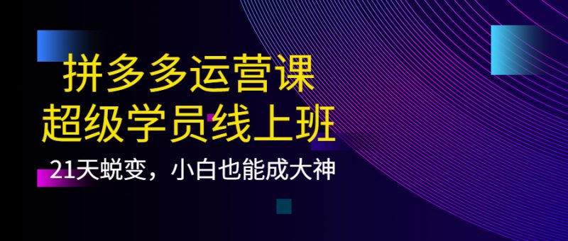拼多多运营课：超级学员线上班，21天蜕变，小白也能成大神网赚项目-副业赚钱-互联网创业-独家轻创IP星泽云创