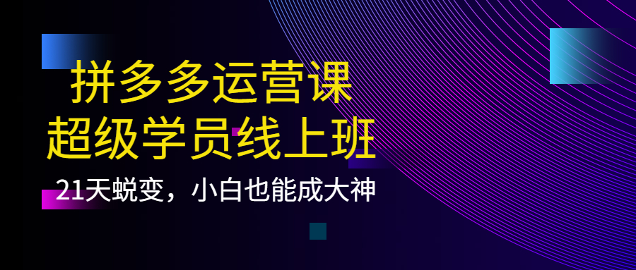 拼多多运营课：超级学员线上班，21天蜕变，小白也能成大神网赚项目-副业赚钱-互联网创业-独家轻创IP星泽云创