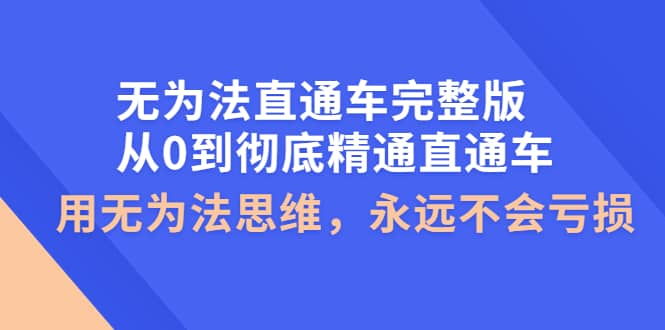 无为法直通车完整版：从0到彻底精通直通车，用无为法思维，永远不会亏损网赚项目-副业赚钱-互联网创业-独家轻创IP星泽云创