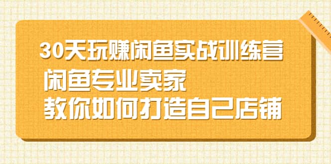 30天玩赚闲鱼实战训练营，闲鱼专业卖家教你如何打造自己店铺网赚项目-副业赚钱-互联网创业-独家轻创IP星泽云创