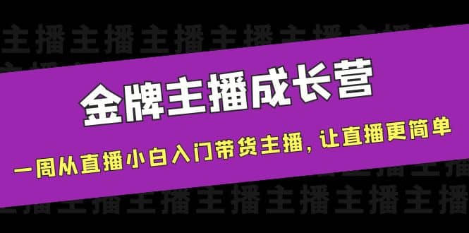 金牌主播成长营，一周从直播小白入门带货主播，让直播更简单网赚项目-副业赚钱-互联网创业-独家轻创IP星泽云创