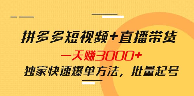 拼多多短视频+直播带货，一天赚3000+独家快速爆单方法，批量起号网赚项目-副业赚钱-互联网创业-独家轻创IP星泽云创